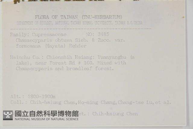 臺灣扁柏藏品圖，第2張