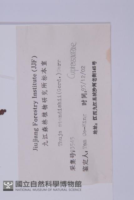 日本香柏藏品圖，第2張