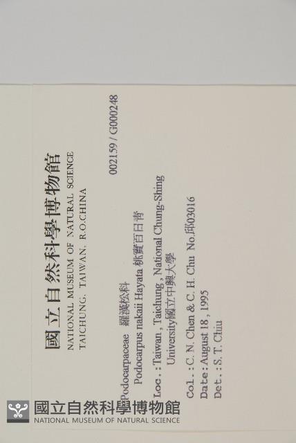 桃實百日青藏品圖，第2張