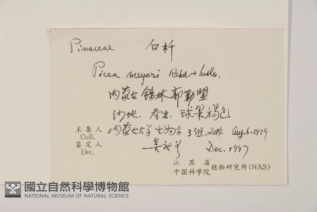 白扦藏品圖，第2張