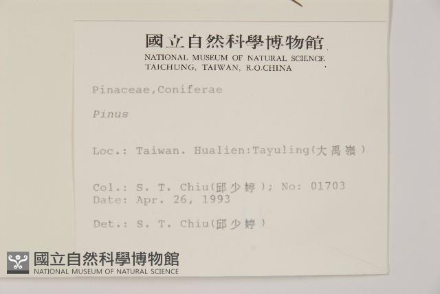 登錄號:G000158藏品圖，第2張