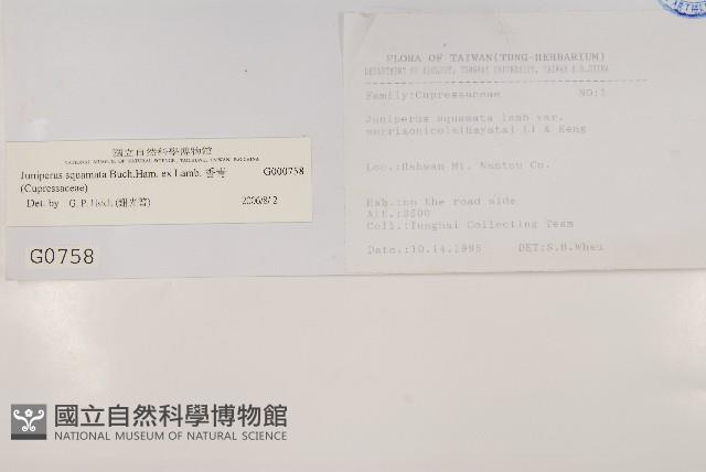 香青藏品圖，第2張