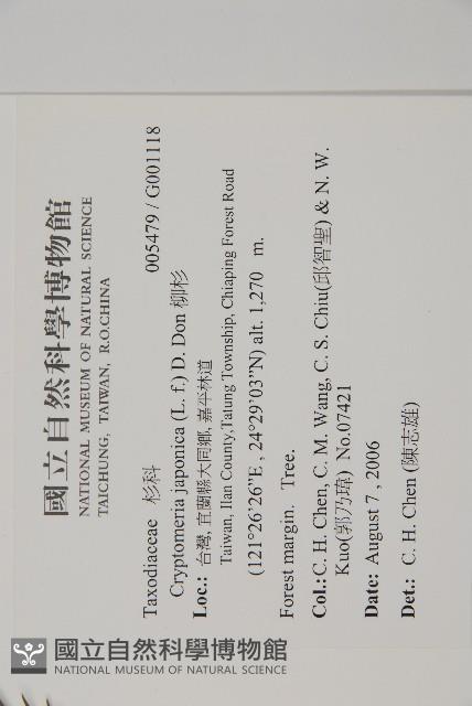 柳杉藏品圖，第2張