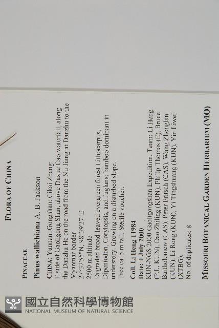 登錄號:G001008藏品圖，第2張