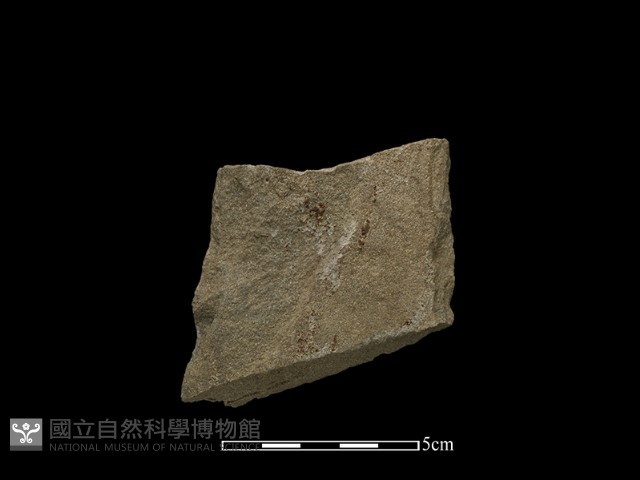 斧鋤形器藏品圖，第2張