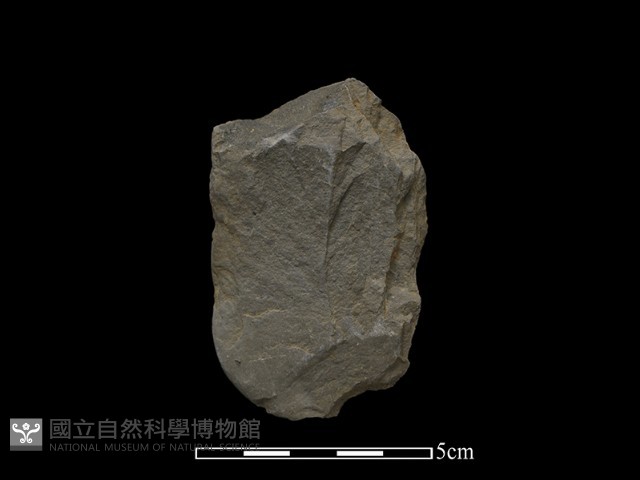 斧鋤形器藏品圖，第1張