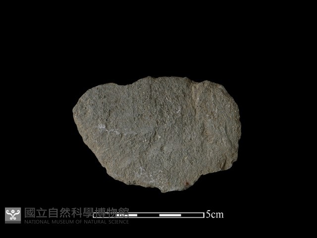 石片藏品圖，第2張