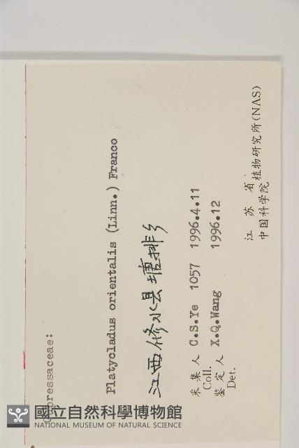 側柏藏品圖，第2張