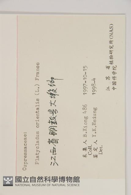 側柏藏品圖，第2張