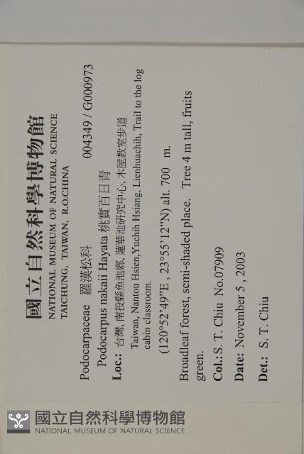 桃實百日青藏品圖，第2張