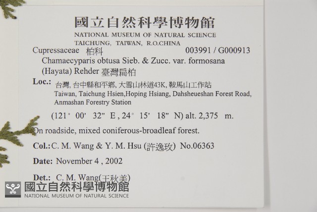 臺灣扁柏藏品圖，第2張
