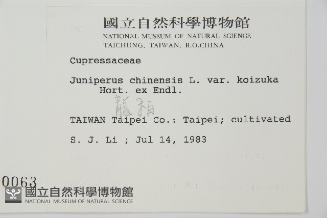 龍柏藏品圖，第2張