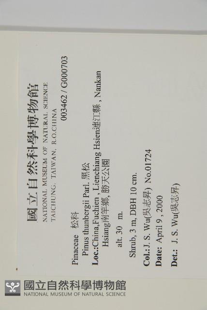 黑松藏品圖，第2張