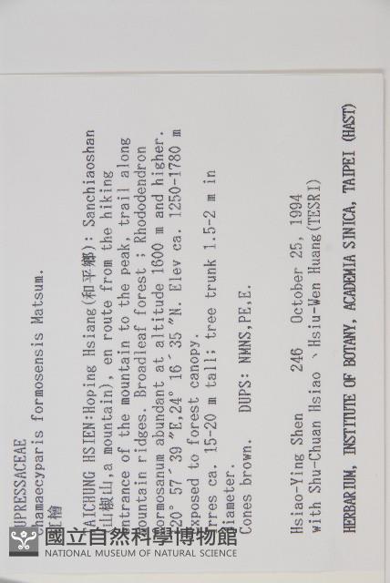 紅檜藏品圖，第2張