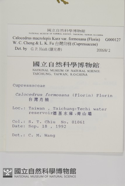 台灣肖楠藏品圖，第2張