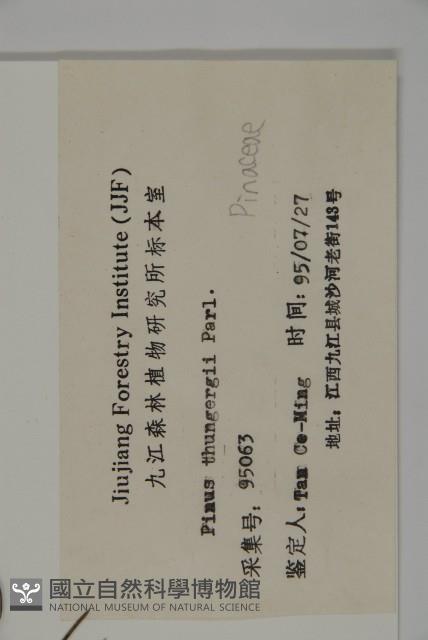 黑松藏品圖，第2張