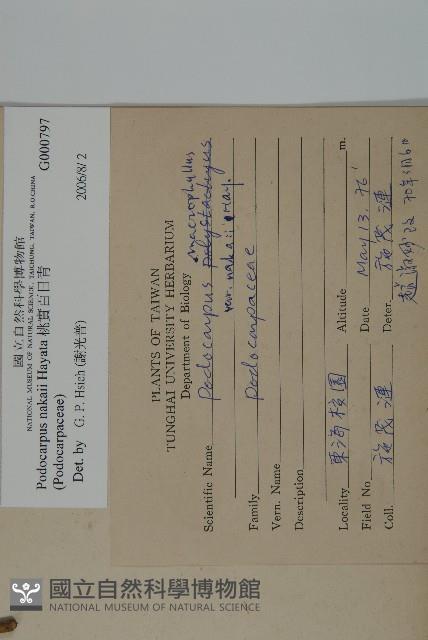 桃實百日青藏品圖，第2張