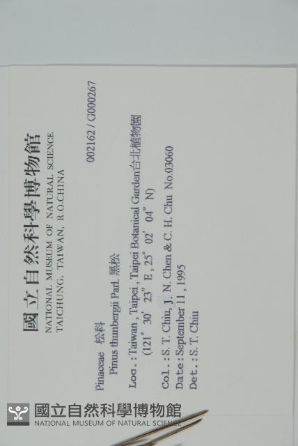 黑松藏品圖，第2張