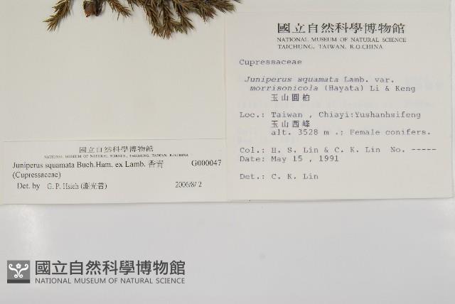 香青藏品圖，第2張