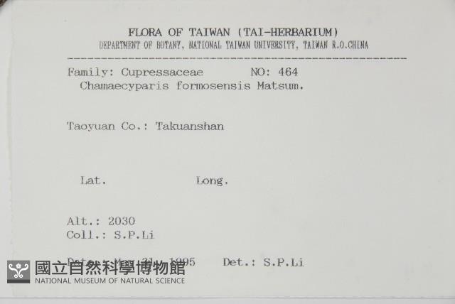 紅檜藏品圖，第2張