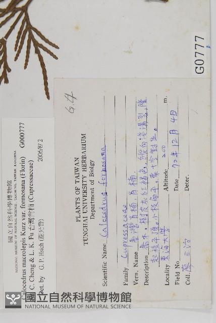 台灣肖楠藏品圖，第2張