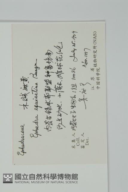 木賊黃麻藏品圖，第2張