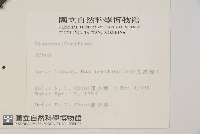 登錄號:G000157藏品圖，第2張