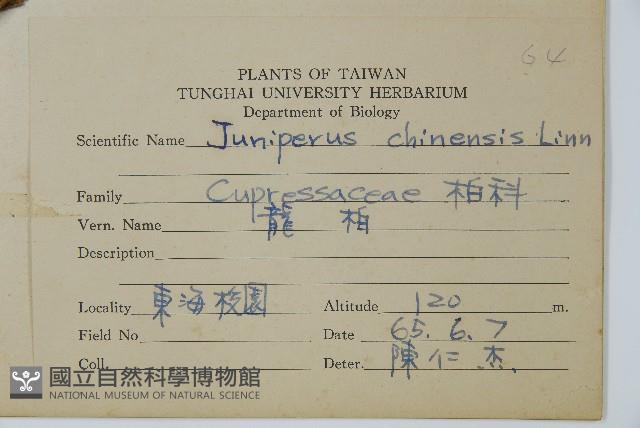 圓柏藏品圖，第2張