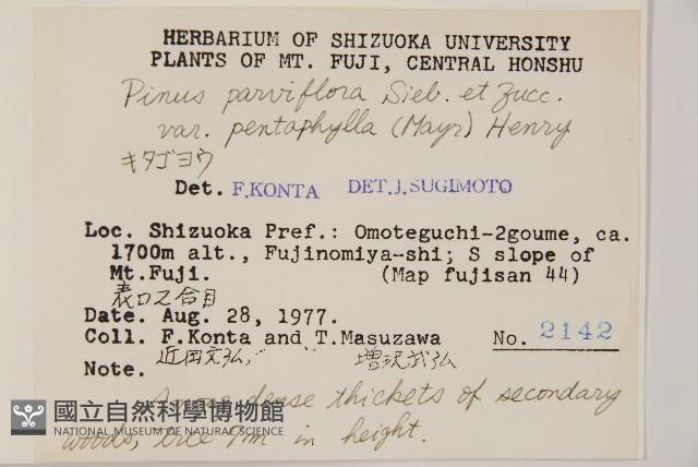 登錄號:G000557藏品圖，第2張