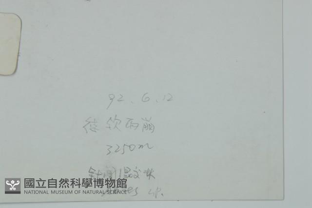 登錄號:G000357藏品圖，第2張