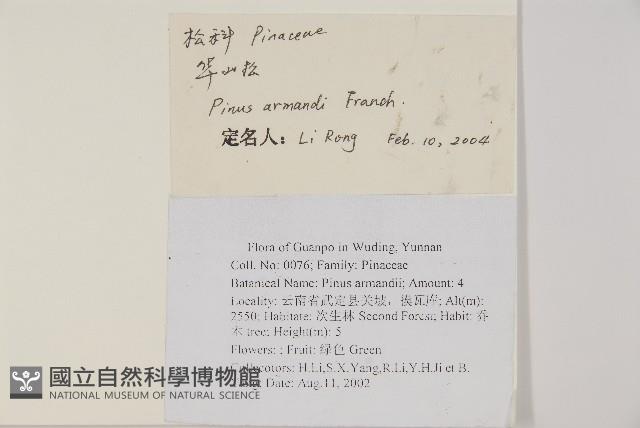 華山松藏品圖，第2張