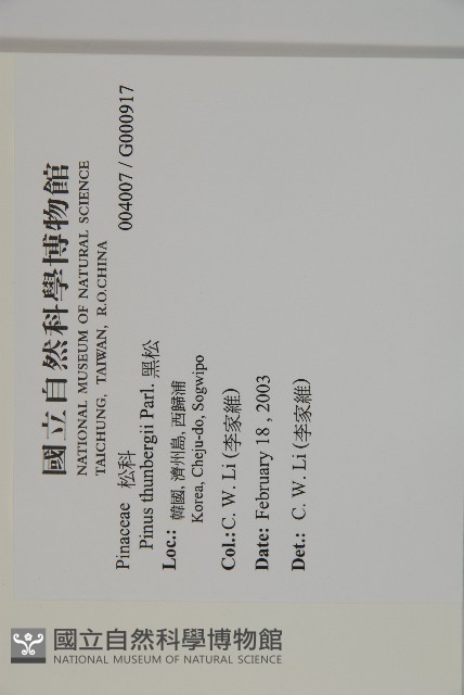 黑松藏品圖，第2張