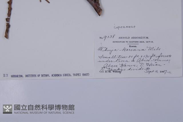 登錄號:G000317藏品圖，第2張