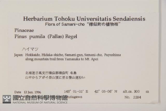 偃松藏品圖，第2張