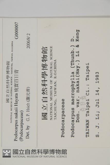 桃實百日青藏品圖，第2張