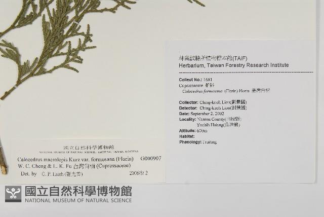 台灣肖楠藏品圖，第2張