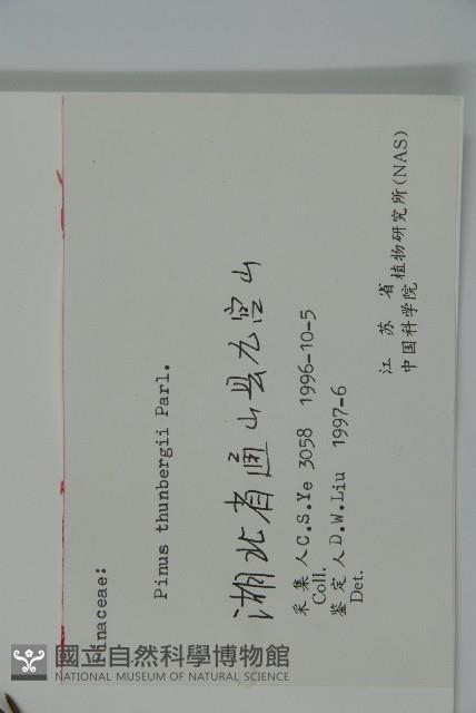 黑松藏品圖，第2張