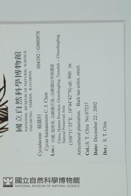 登錄號:G000976藏品圖，第12張