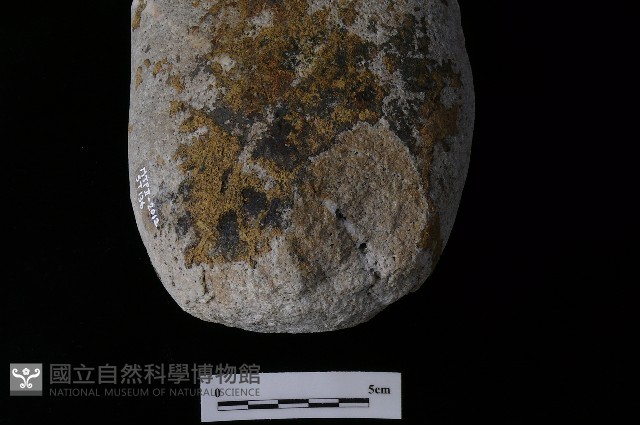 石鎚藏品圖，第5張