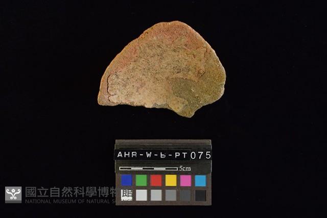 陶片藏品圖，第6張