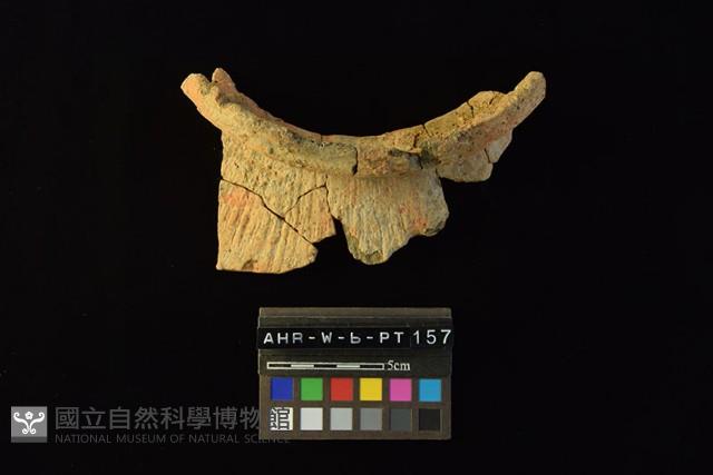 陶罐藏品圖，第6張