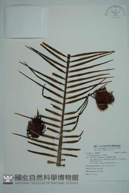 登錄號:G000976藏品圖，第6張