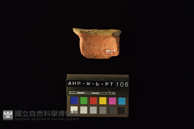 陶片藏品圖，第4張