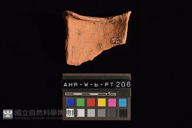 陶片藏品圖，第4張