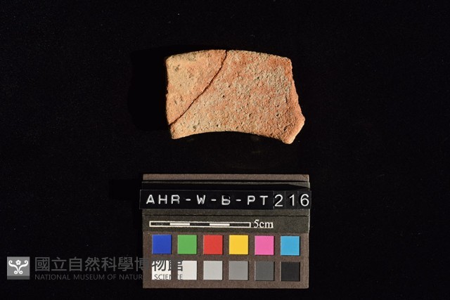 陶罐藏品圖，第4張