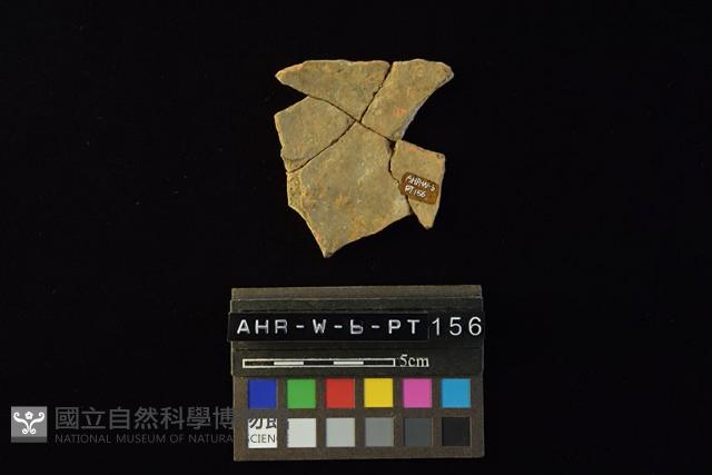 陶片藏品圖，第4張