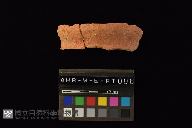 陶罐藏品圖，第5張