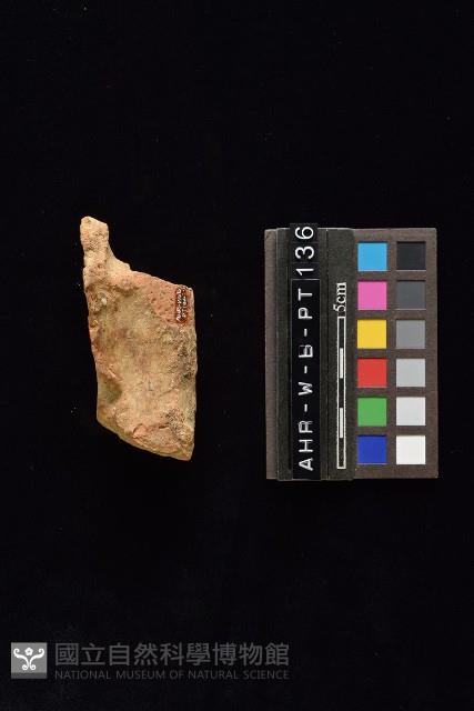 陶片藏品圖，第4張