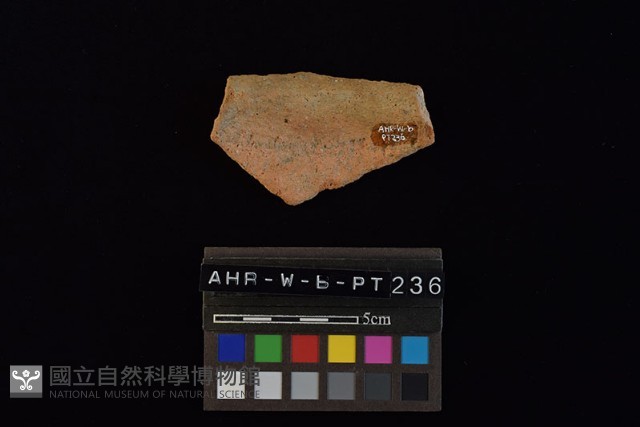 陶片藏品圖，第1張