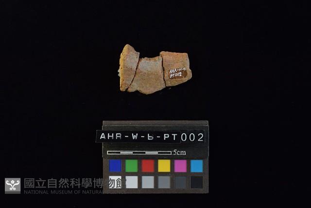 陶罐藏品圖，第4張